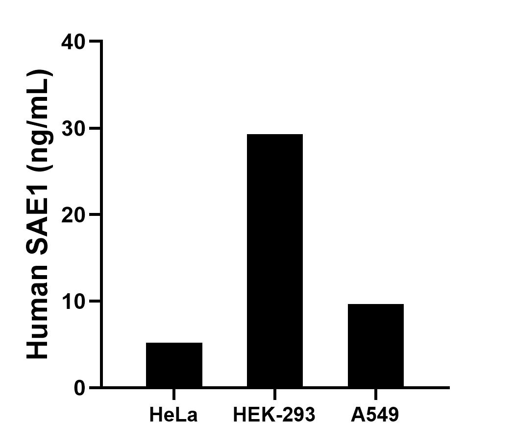 Sample test of MP01364-3